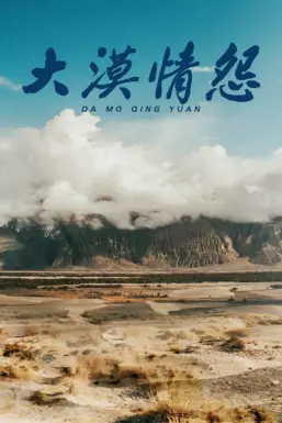 大漠情怨